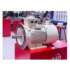 Electric Machinery